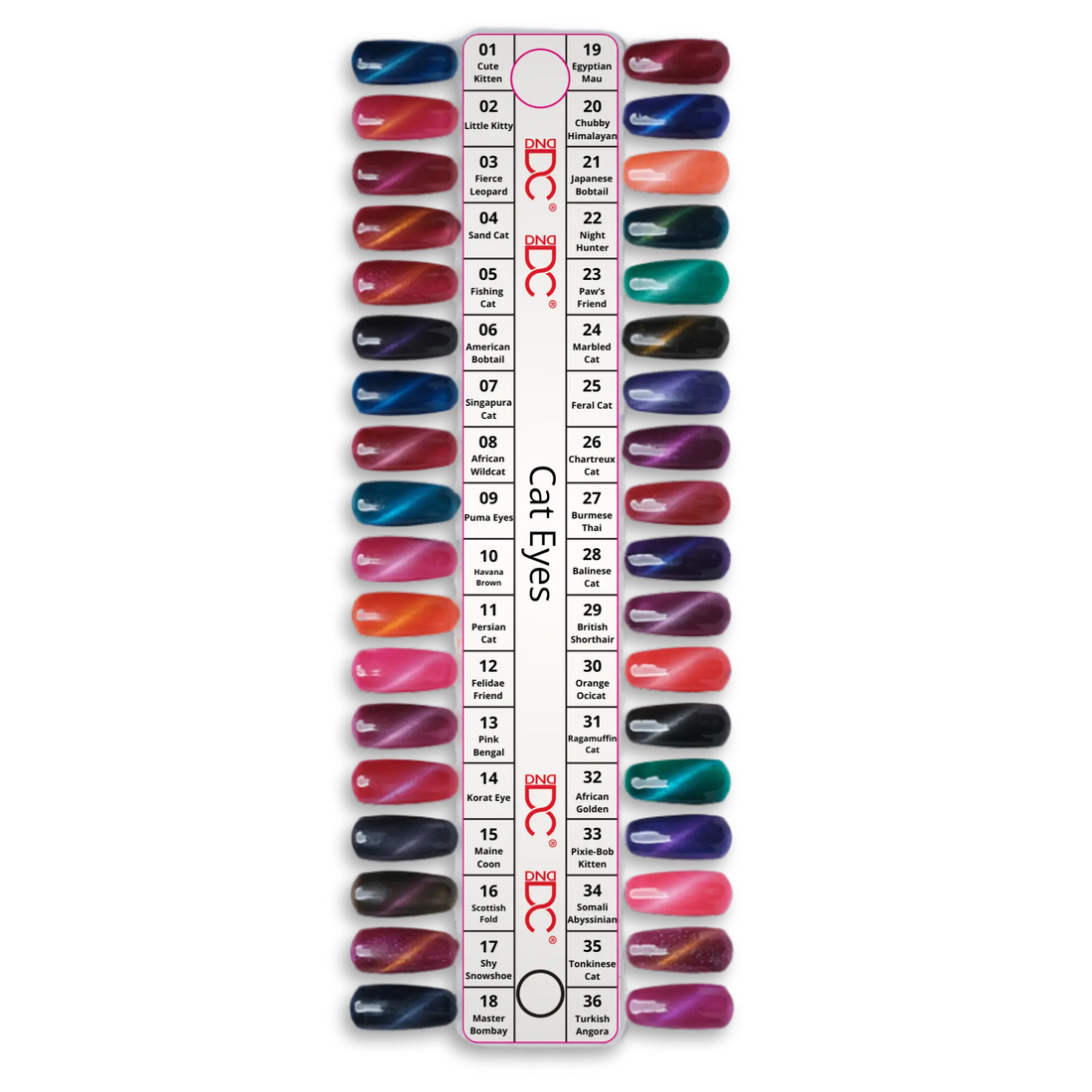 DC Cat Eyes Collection Color Swatches