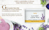 GiGi Lavender Crème Wax - 14oz Aromatherapy Hair Removal